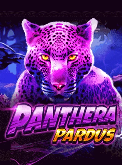 999db new game